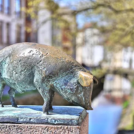 Ohlerich Speicher App_ 29 Hotel